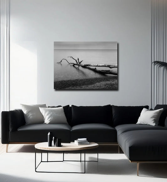 Ein baum liegt im Wasser, langzeitbelichtung, s/w Foto, querformat, an heller wand hängend, 120 x 90 cm, Thomas Dalecki, Kunst-Direkt.de