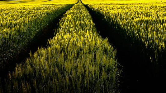 Infinity